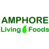 AMPHORE