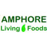 AMPHORE (7)