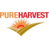 PURE HARVEST (5)