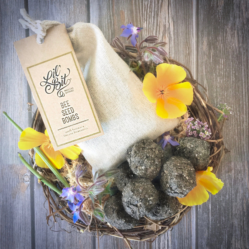 Bee Seed Bombs by LIL'BIT