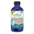 Children's DHA Fish Oil Supplement (Strawberry) 119ml by NORDIC NATURALS