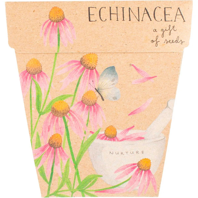 Gift Of Seeds Card - Echinacea by SOW "N SOW