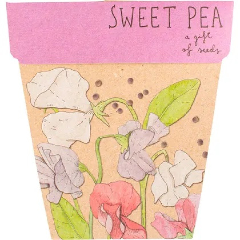 Gift Of Seeds - Sweet Pea by SOW "N SOW