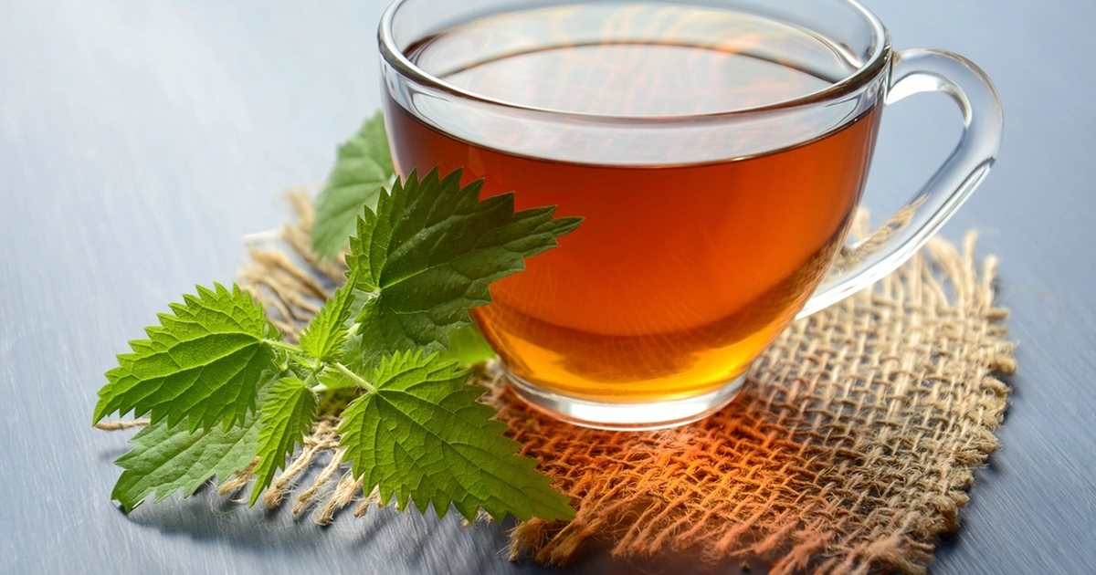 A glass cup of herbal tea with fresh nettle leaves