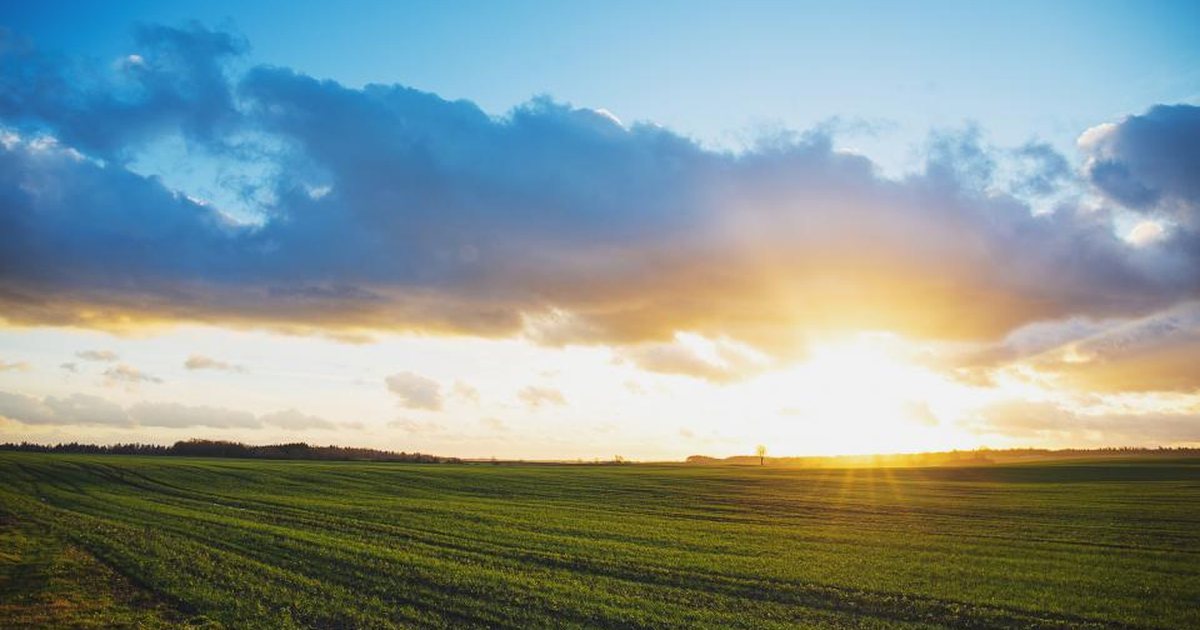 Green farm paddocks under a wide sky at sunset