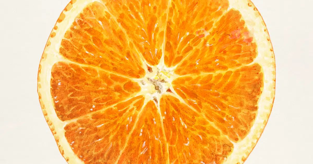 A slice of fresh orange