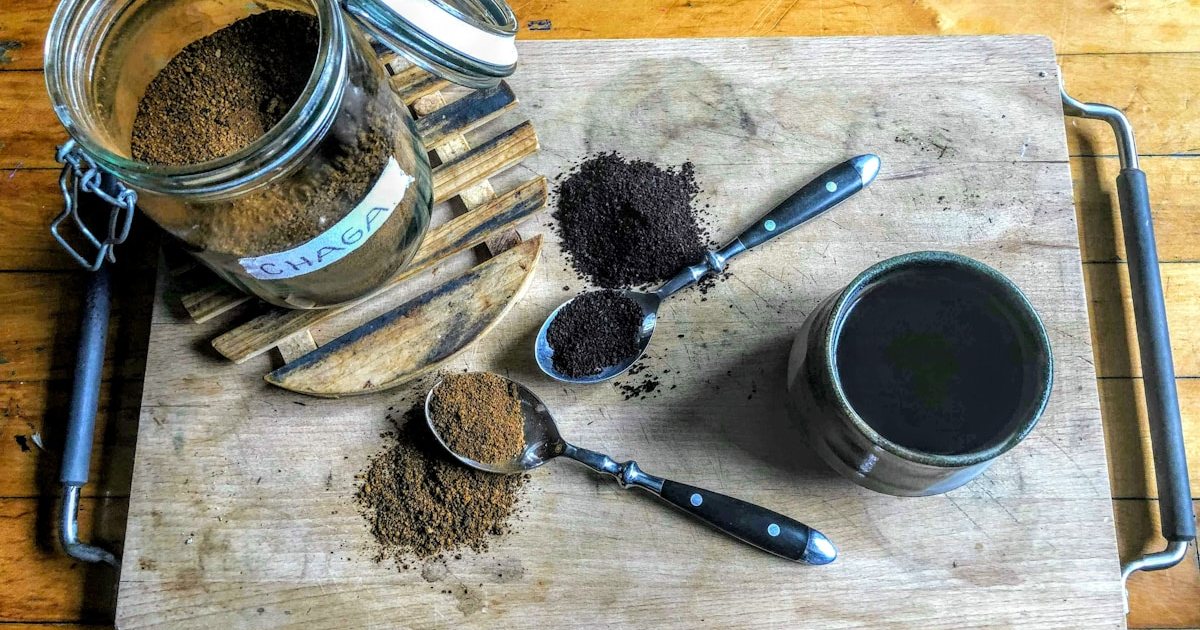Medicinal mushroom powder and tinctures