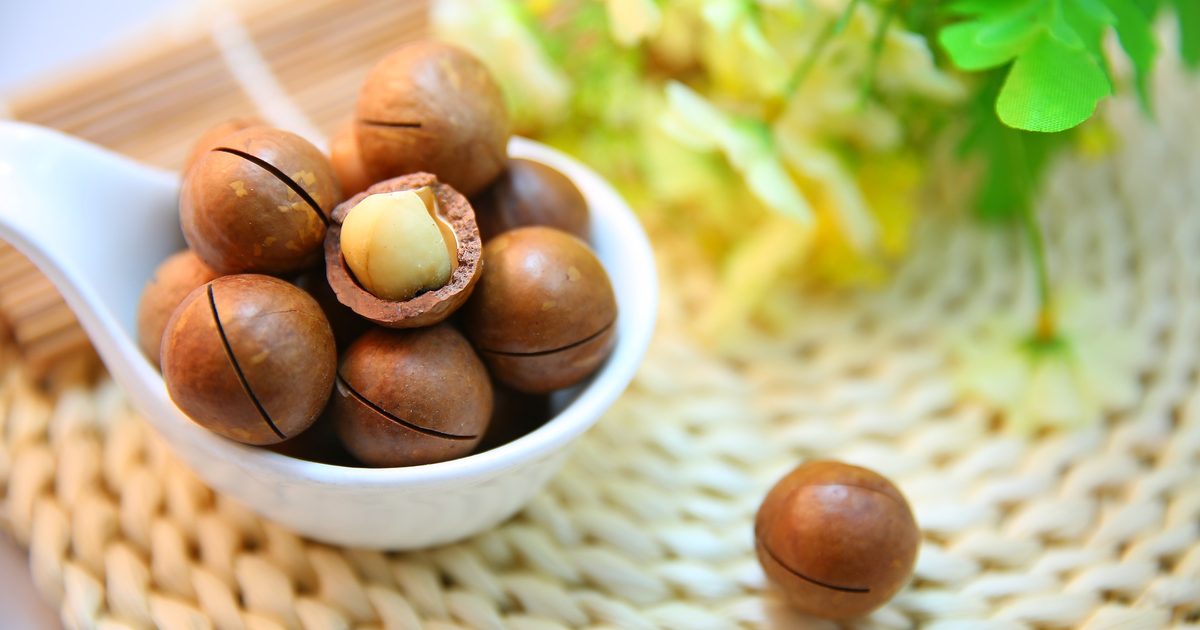 Macadamia nuts in their shells in a white spoon