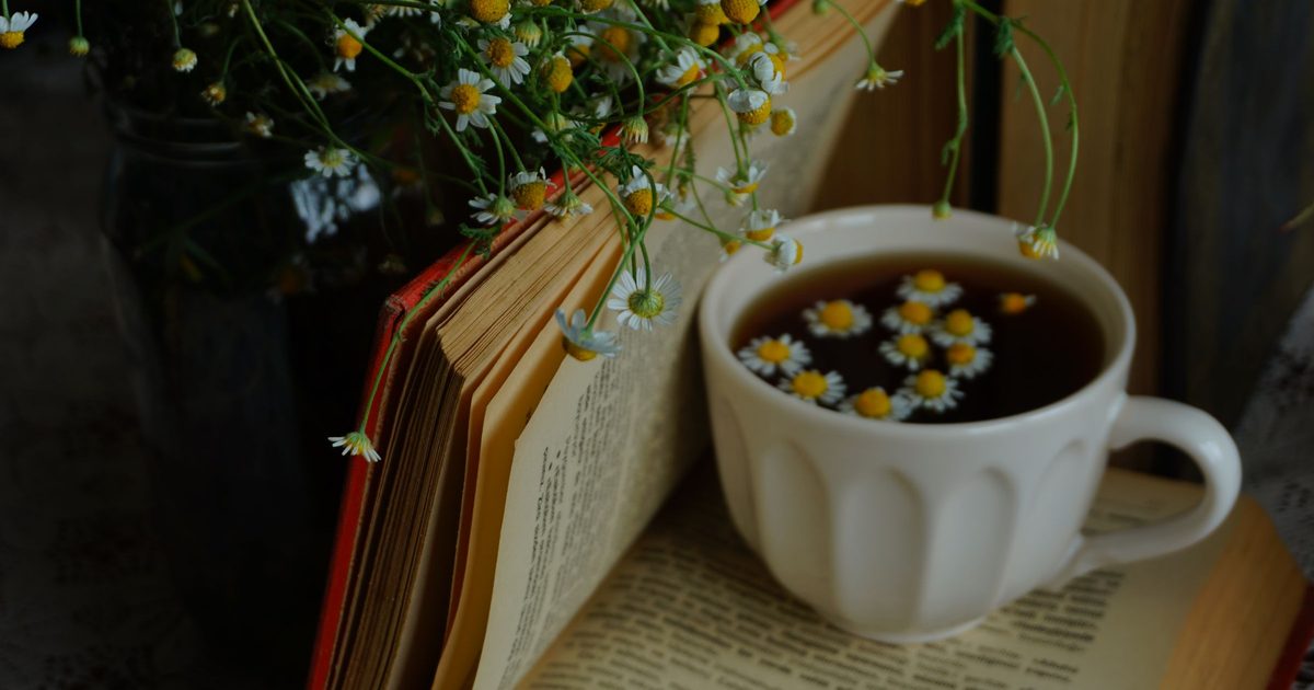 A cup of chamomile tea beside an open book and a jug of fresh daisies