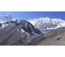 What is shilajit, and how to buy one that is actually clean