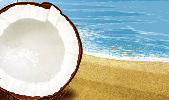 Coconut-1