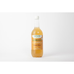Ginger Brew Kombucha 1L by AMPHORE