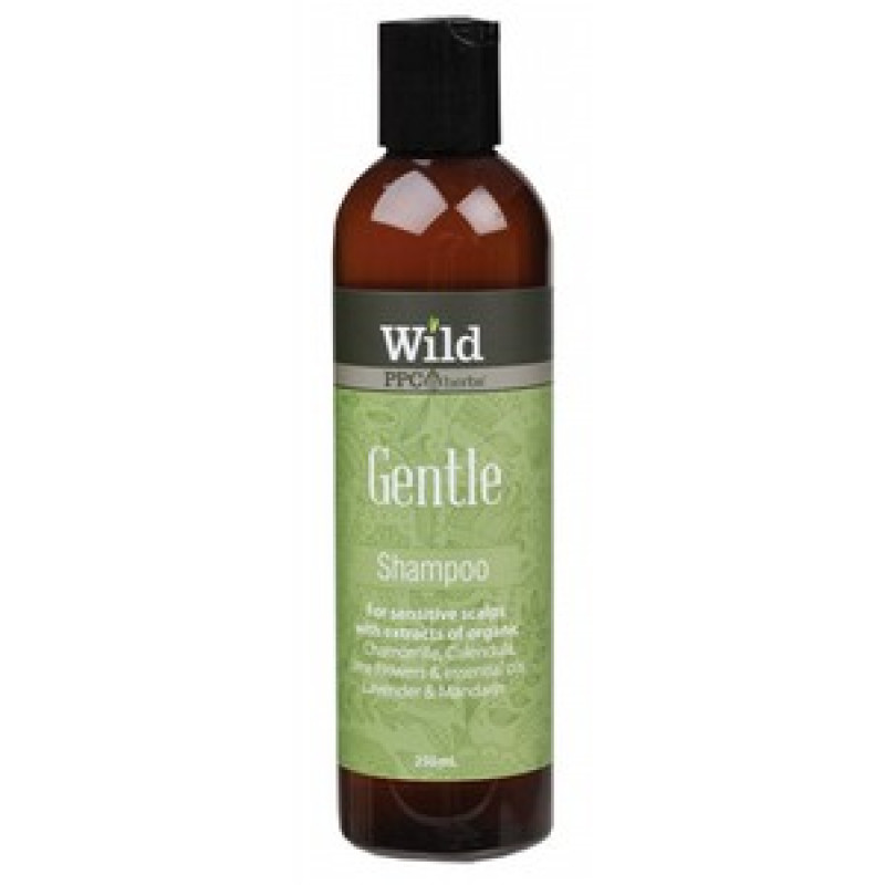 Gentle Shampoo 250ml by WILD