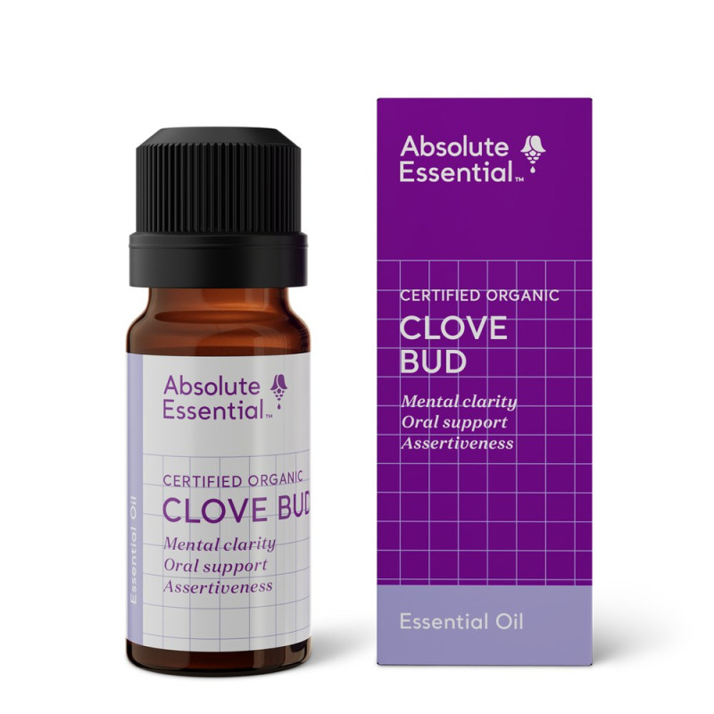 Clove Bud Essential Oil 10ml by ABSOLUTE ESSENTIAL Clove Bud Essential Oil 10ml by ABSOLUTE ESSENTIAL