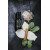 Puku Essential Oil Blend - Roller 15ml by ANJALI