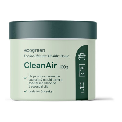 CleanAir 100g by ECOGREEN