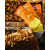 Wild Aussie Honey Kids TA10+ Sachets (10 x 7g) by HONEY FOR LIFE