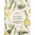 Fennel Fusion Tea Bags (25) by KINTRA FOODS