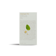 Adaptogen Tea Pyramid Tea Bags (20) by LOVE TEA