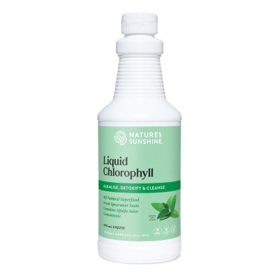 Liquid Chlorophyll 473ml by NATURE'S SUNSHINE