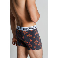 Organic Cotton Men's Trunk | Ode To Thala L by REER ENDZ UNDERWEAR