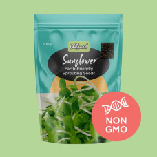 Organic Sunflower Sprouting Seeds 100g by UNTAMED HEALTH