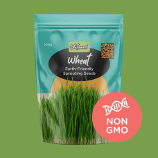 Organic Wheat Grass Sprouting Seeds 100g by UNTAMED HEALTH
