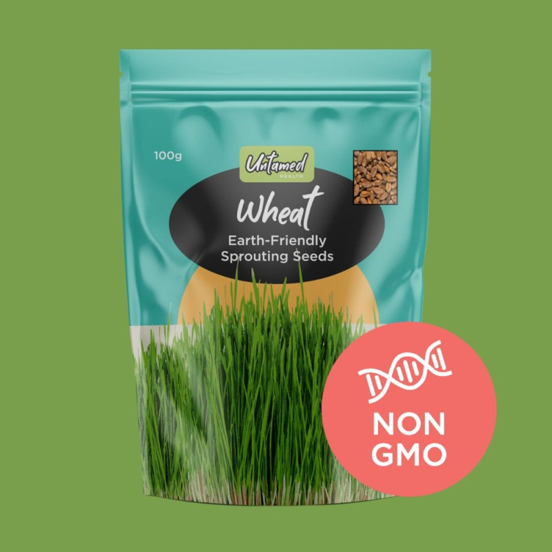 Organic Wheat Grass Sprouting Seeds 100g by UNTAMED HEALTH