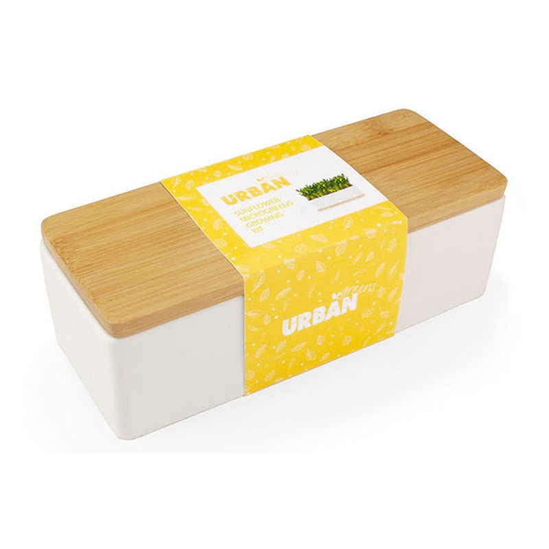 Grow Kit - Sunflower Microgreens by URBAN GREENS Grow Kit - Sunflower Microgreens by URBAN GREENS