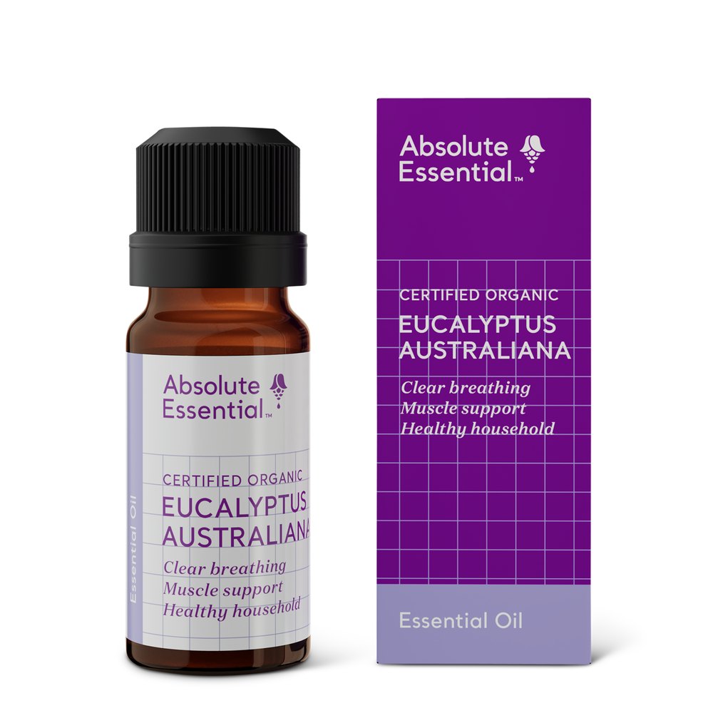 Absolute Essential Eucalyptus Australiana Essential Oil, 10ml